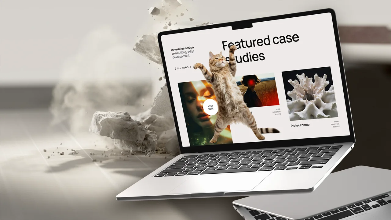 Project Preview Image